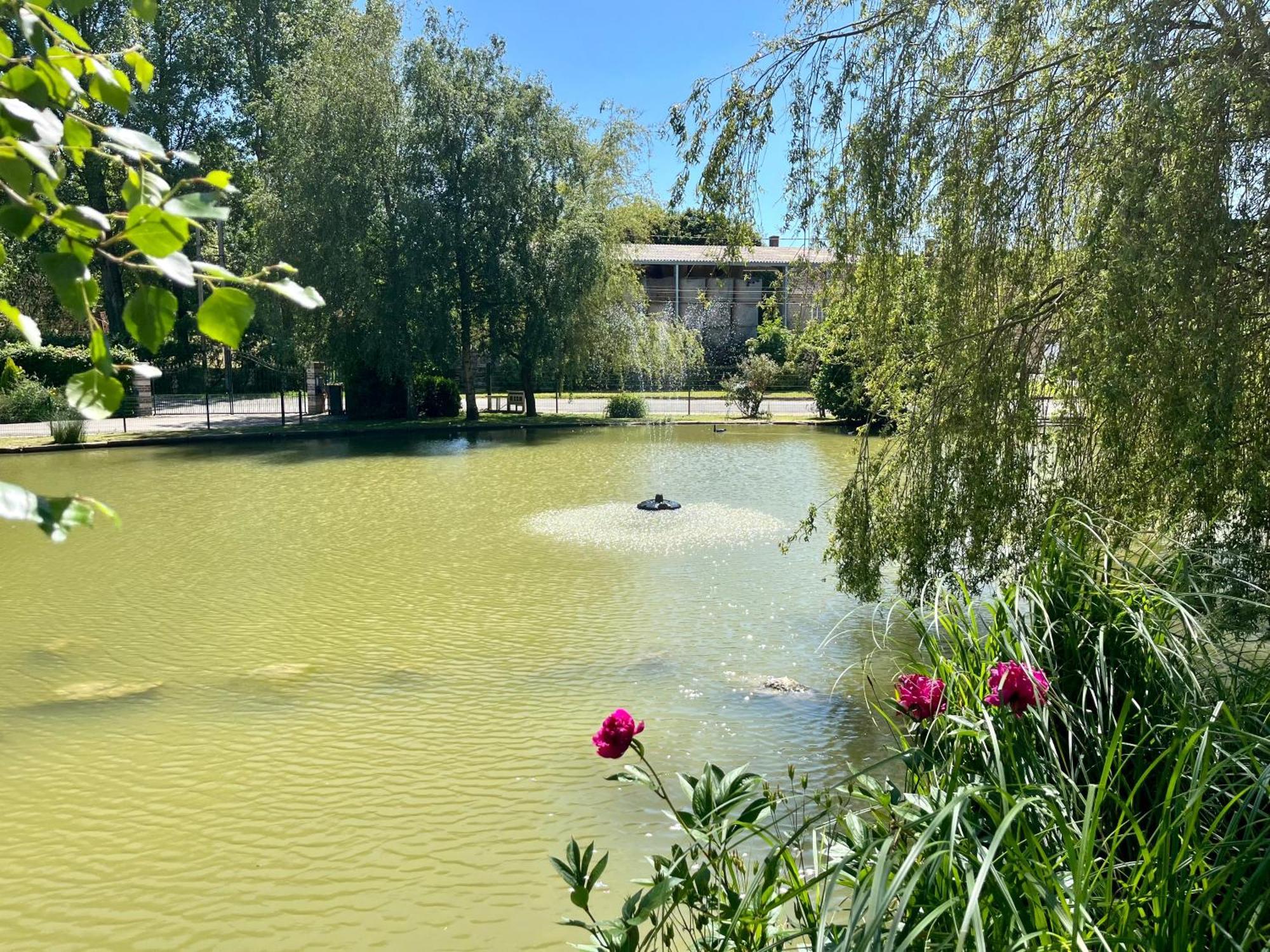 L'Etang D'Une Pause Samer Exterior photo